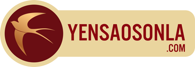 YẾN SÀO SƠN LA